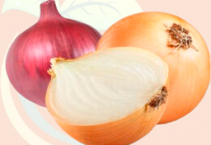 Onion